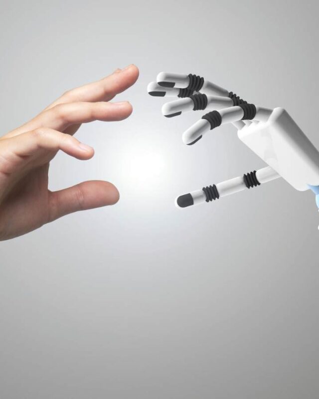 Untitled design - 2025-11-04T123447.239